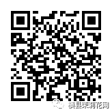 090055cms4kpkxkkwo0tvv.jpg