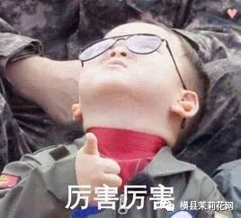 084226l5ghk5gh5jzg5xbm.jpg