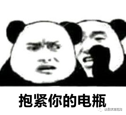 084616aayrhwliyhc07liu.jpg