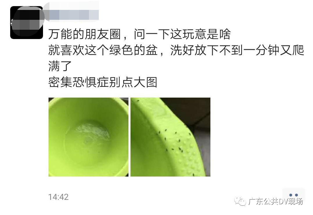 085139z3yhihtzuqgdqg8j.jpg