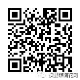 085827aajmo77r57eol7o7.jpg