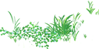 085019s0d66bgta208xhq9.jpg