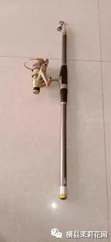 085720fpfg8oggzgpnn9yf.jpg