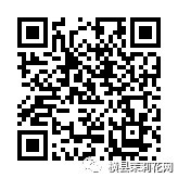 091703bkogxw3zxtokqooo.jpg