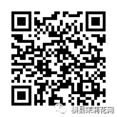 091704mbn8qph2g222ttdt.jpg