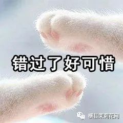 084534sy0sp44021yszj43.jpg