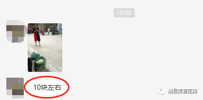 084828tieqziprbiuu2eei.jpg