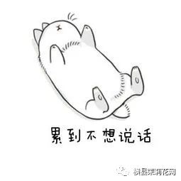 085038lowzaxpx8p2s0xxs.jpg
