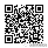 085239pp1t8pzetzz60c96.jpg