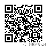 085239dp0jspavqt0pv8t1.jpg