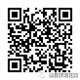 085053kum43384a038os28.jpg