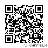 084547anw4x4x8yq88nn4w.jpg