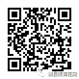 084547gq2plbflvfvsz7qx.jpg
