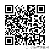 084548vhrt0gtu58utt8z0.jpg