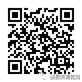 085744sfafpzboqn3bhvhv.jpg