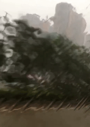 084252fp39pzt2agzgm3la.jpg