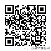 084655r6003560j178rssz.jpg