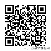 084655q2g1z5q85x05555m.jpg