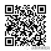 084655lsrkk83in3v88nn8.jpg