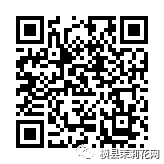 084656lpxz255x8do6hx52.jpg