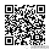 084657hwx6hxxswgs6gvez.jpg