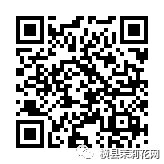 090041aof9zofk7pj0qkl9.jpg