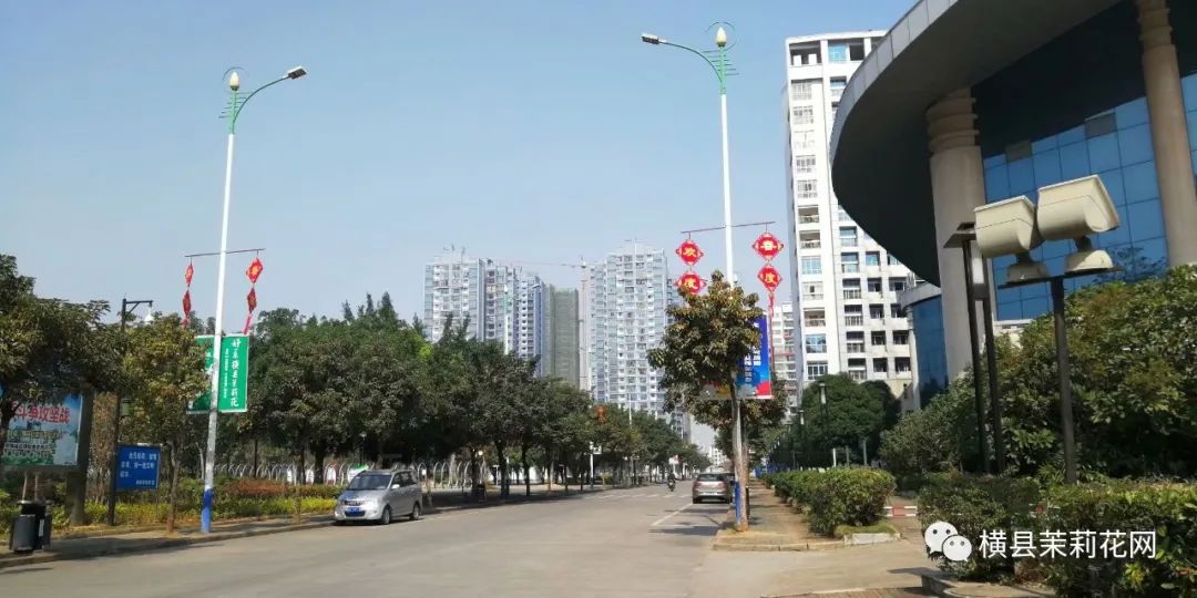 090914c7t61m472olzwoom.jpg