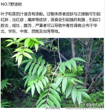 084933jbujjzooajjbao8i.jpg
