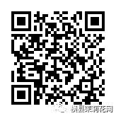 085305she0kr0ipjpnnpgk.jpg