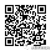 085308s1yazx799vrkxk0v.jpg