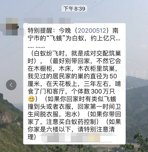 085050j0yyy50bt4808694.jpg