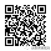 090427slylllxtrgygrzg3.jpg
