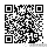 090428bd11zn32p35np652.jpg