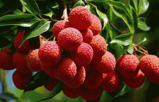 083829rrswwqz8qurqasi7.jpg