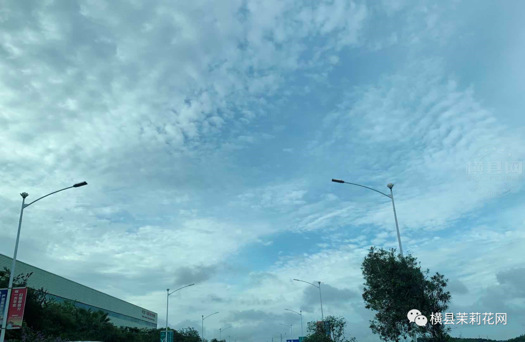095510wh9889db8dnpbctv.jpg