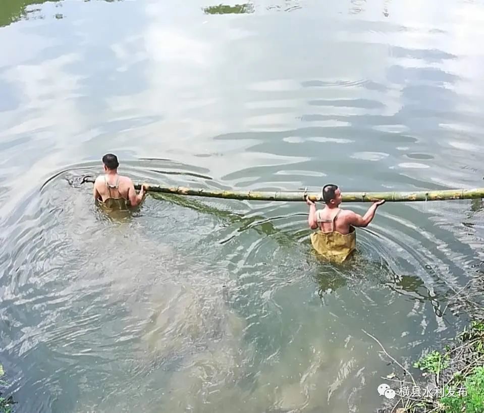 100020c3dvnnoi6vg90f6f.jpg