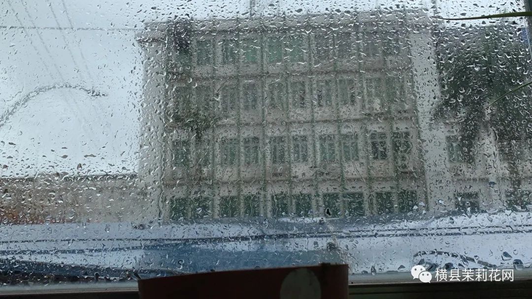083735to888mmchjuducm8.jpg