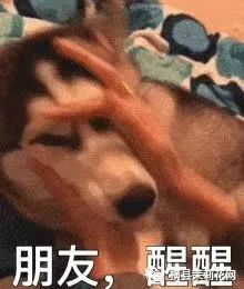083738givtceaz9u99izbr.jpg