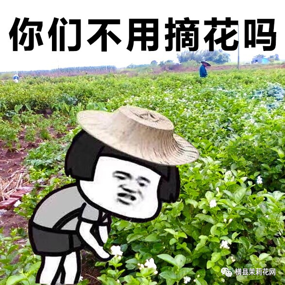 085706p0v2f0g24dhdoocf.jpg
