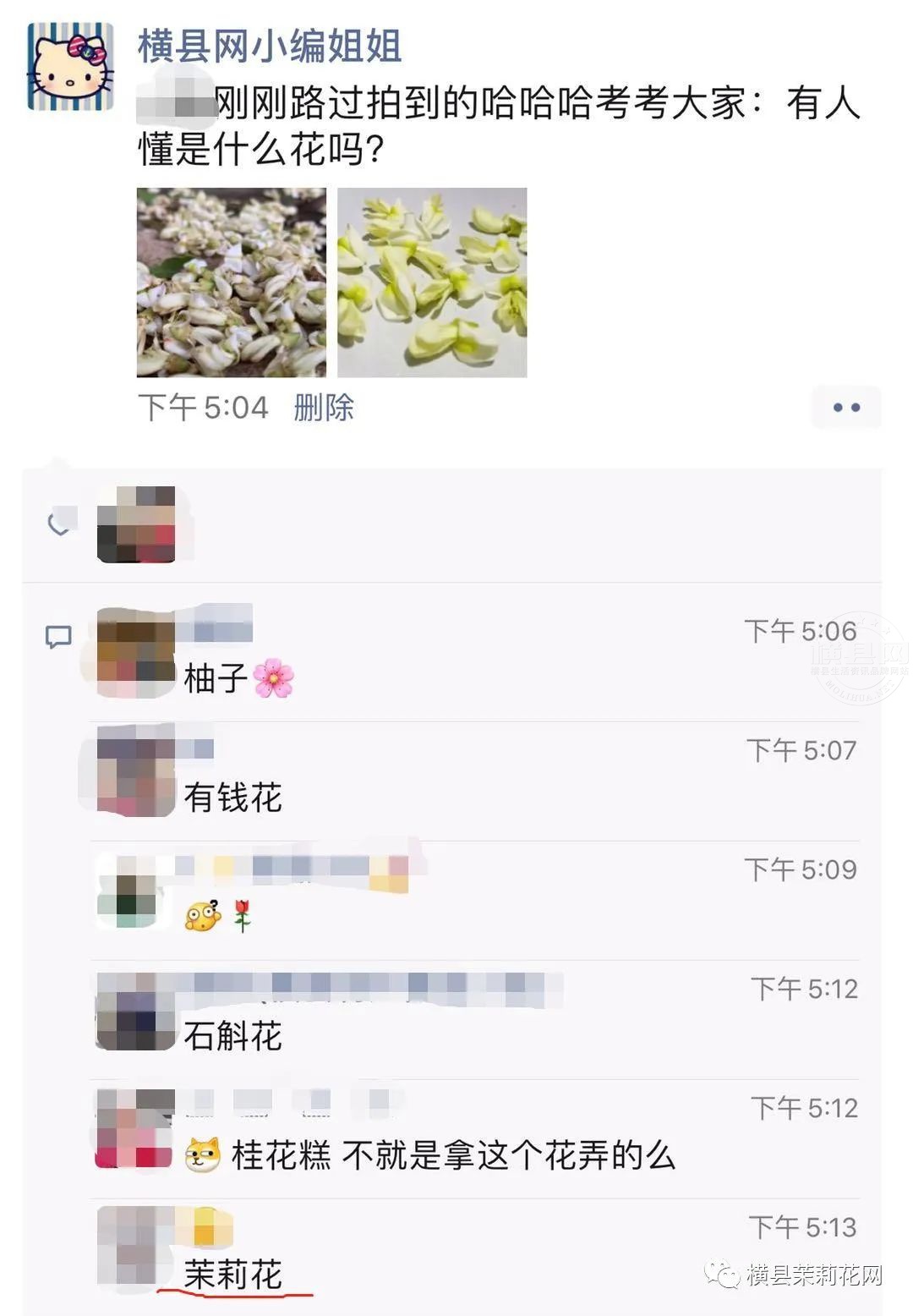 084507dx191ah5haubx85d.jpg