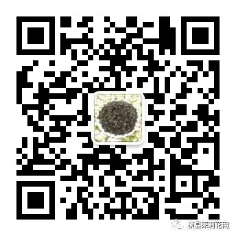 084052iorqd1eswea1a1s1.jpg