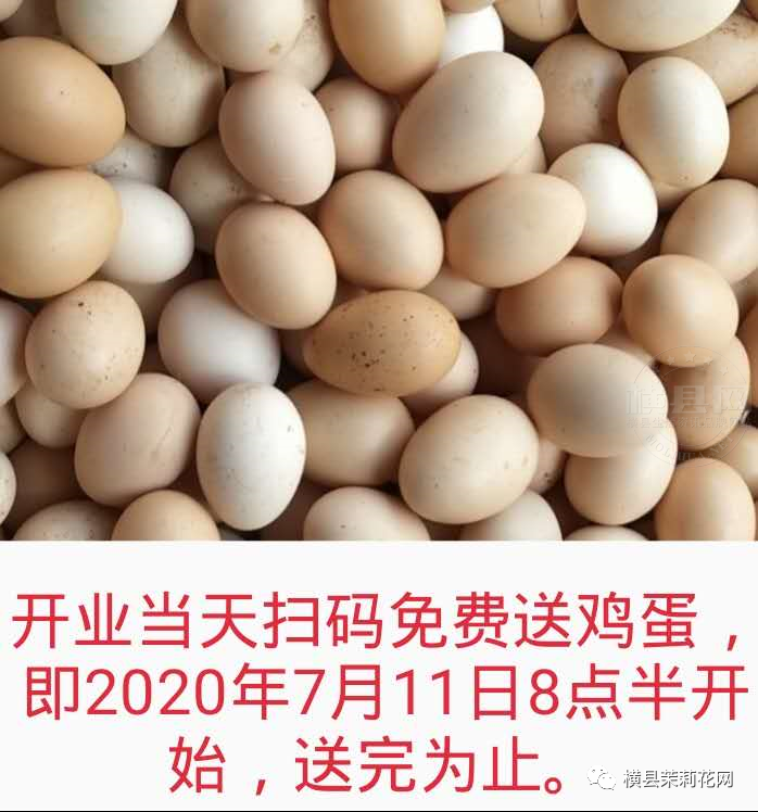 084057g101216urf7qr6yu.jpg