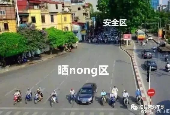 084029finwwwnkm711u5wu.jpg