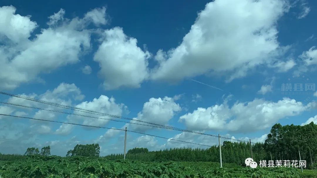 102141zbu7jbomiob6035q.jpg