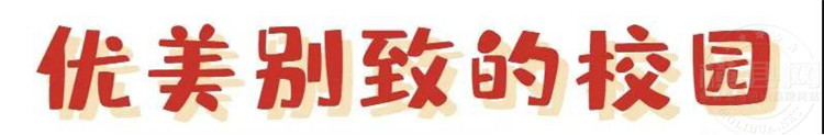图片31.jpg