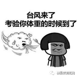 095723to589n55zzvarla8.jpg