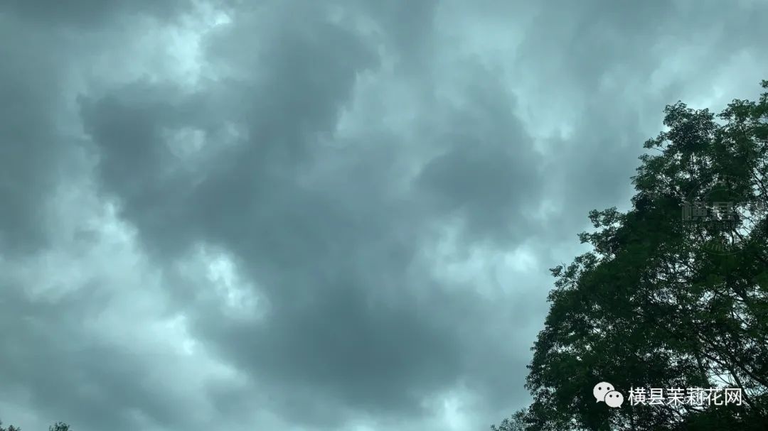 084632gqisqc0woskswcqw.jpg