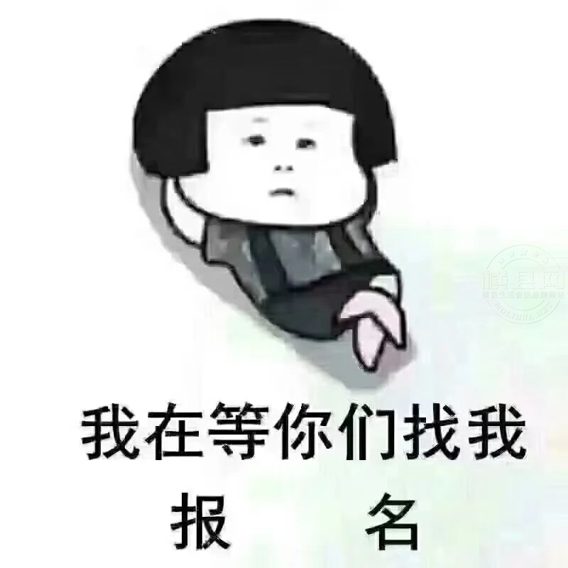 084152zvktvgx51x5zq15r.jpg