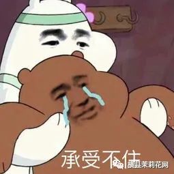 144331ctg6mxyr9mm9v9y9.jpg