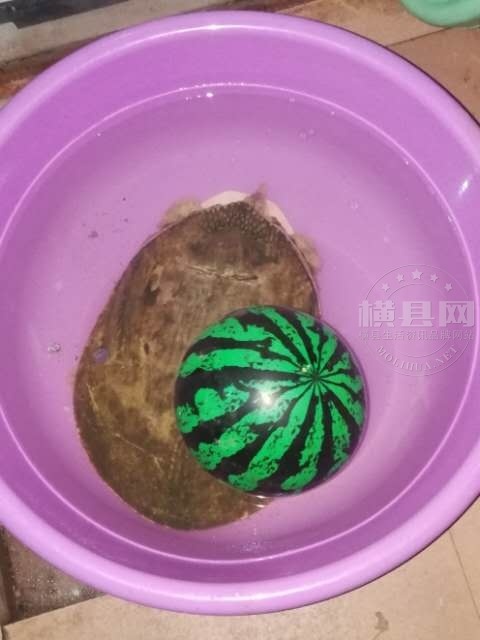 wechat_upload15998781665f5c3416b8773